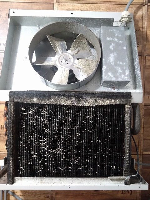 クルム掃除　FPの家