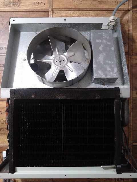 クルム掃除　FPの家