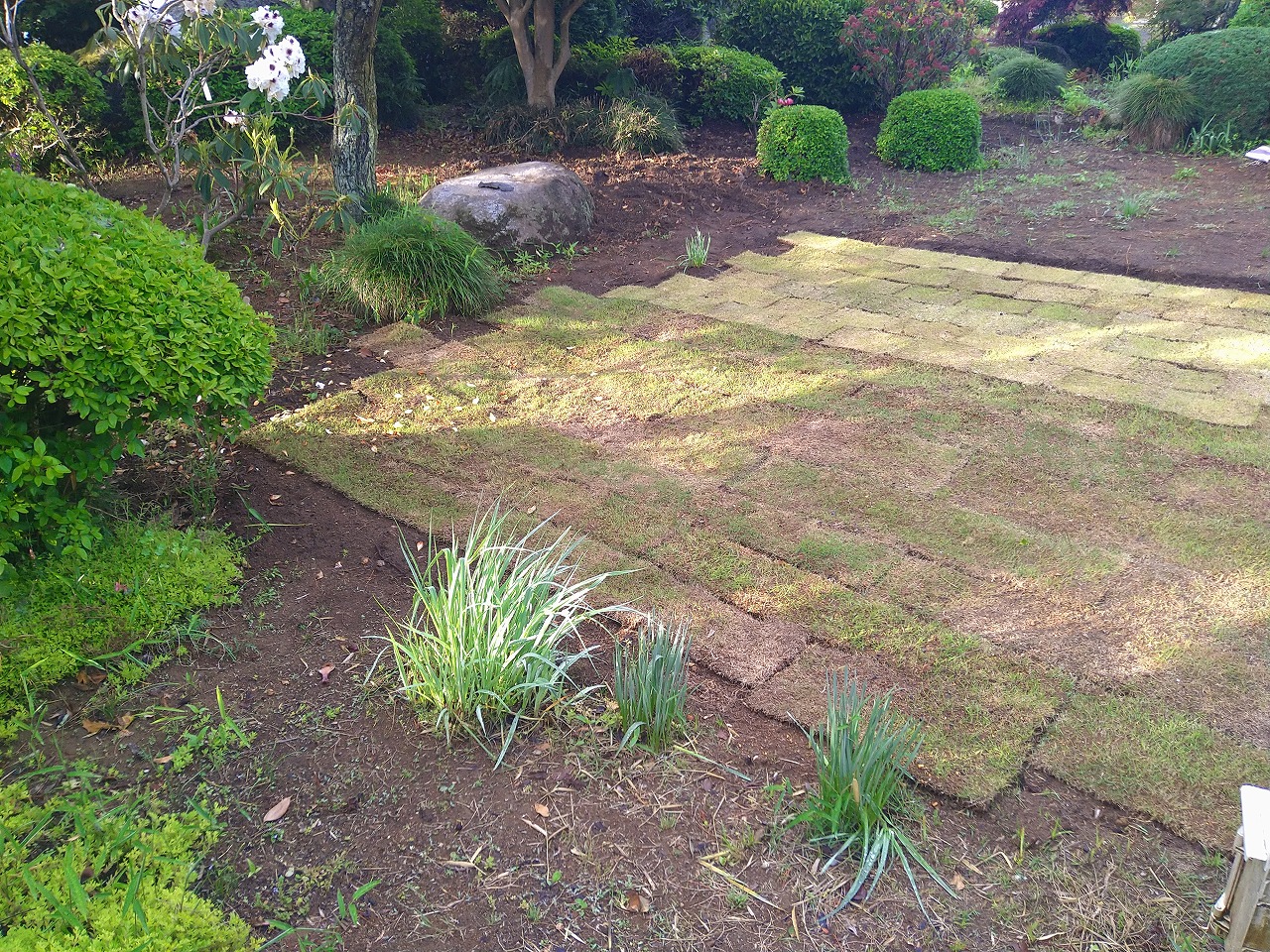 芝張り 自分で やり方