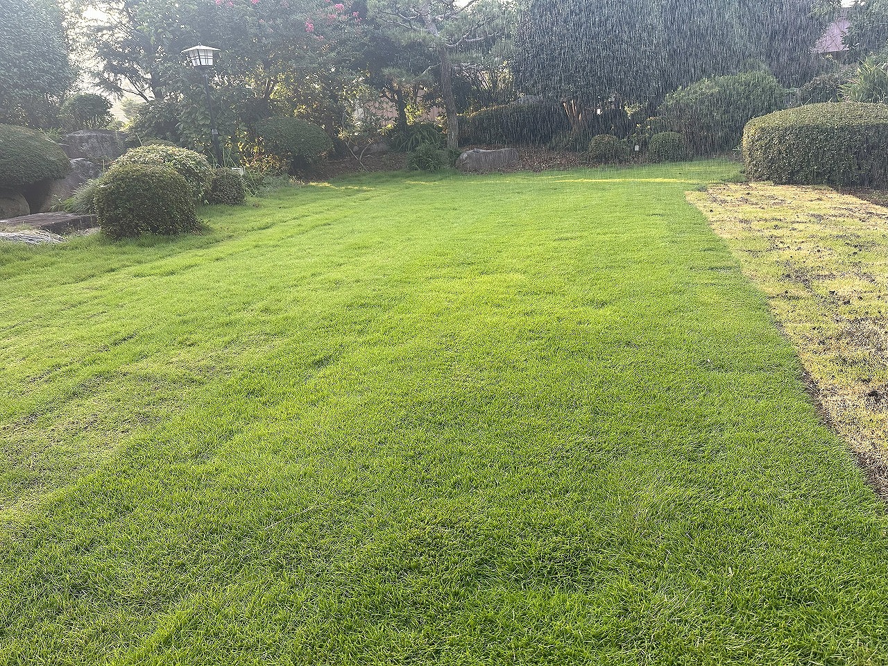 芝張り 自分で やり方